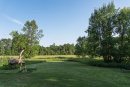 DSC00907.jpg
