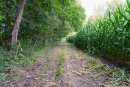 DSC01048.jpg
