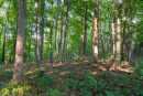 DSC01049.jpg