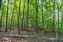 DSC01050.jpg