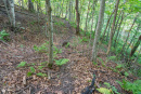 DSC01053.jpg