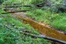 DSC01054.jpg