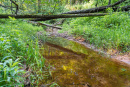 DSC01055.jpg