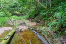 DSC01057.jpg