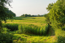 DSC01068.jpg
