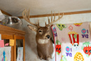 DSC01074.jpg