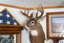 DSC01076.jpg