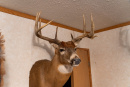 DSC01080.jpg