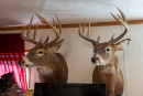DSC01081.jpg