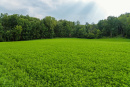DSC01093.jpg