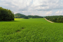 DSC01096.jpg