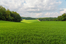 DSC01097.jpg