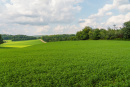 DSC01098.jpg