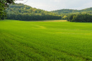 DSC01101.jpg