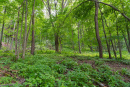 DSC01103.jpg