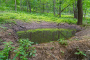 DSC01105.jpg