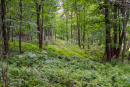DSC01107.jpg