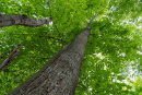 DSC01109.jpg