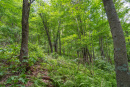 DSC01110.jpg