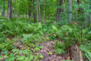 DSC01111.jpg