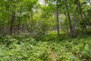 DSC01113.jpg
