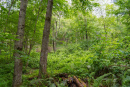DSC01114.jpg