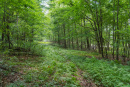 DSC01116.jpg