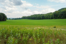 DSC01117.jpg