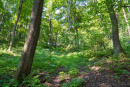 DSC01125.jpg