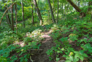 DSC01132.jpg