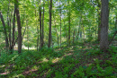 DSC01134.jpg