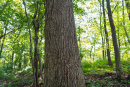 DSC01135.jpg