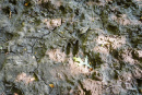 DSC01139.jpg