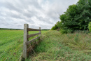 DSC01178.jpg