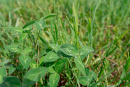 DSC01180.jpg
