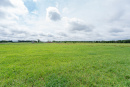 DSC01184.jpg