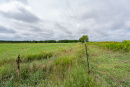 DSC01185.jpg