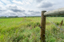 DSC01186.jpg