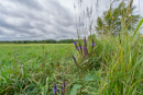 DSC01189.jpg