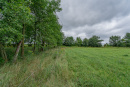 DSC01195.jpg