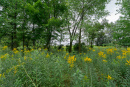 DSC01201.jpg