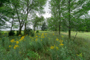 DSC01202.jpg