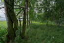 DSC01203.jpg
