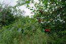 DSC01205.jpg