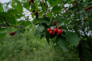DSC01206.jpg