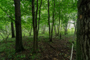 DSC01208.jpg