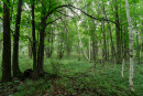 DSC01209.jpg