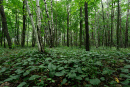 DSC01214.jpg
