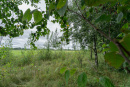DSC01215.jpg
