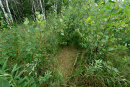 DSC01218.jpg
